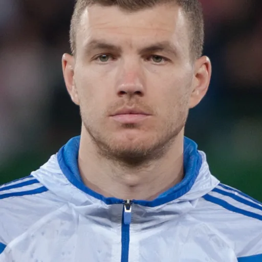Edin Džeko