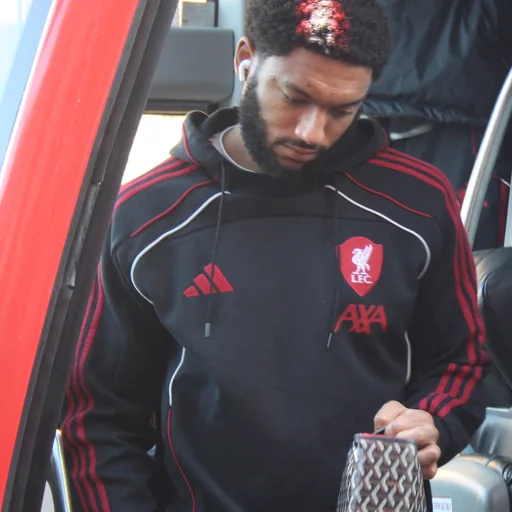 Joe Gomez