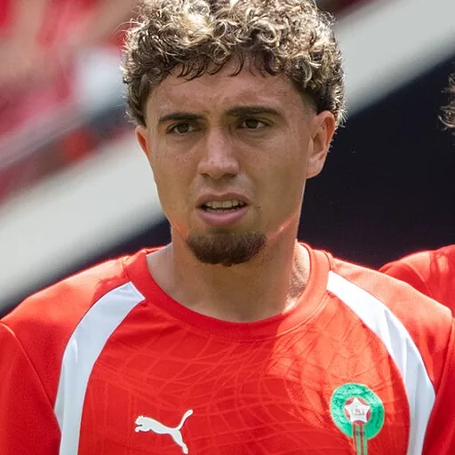 Neil El Aynaoui