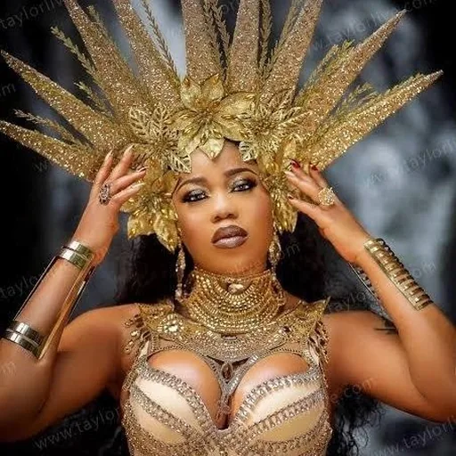 Toyin Lawani