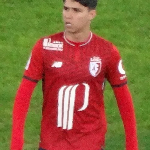 Luiz Araújo