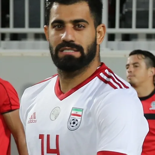 Mohammad Hossein Kanaanizadegan