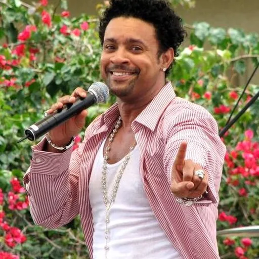 Shaggy