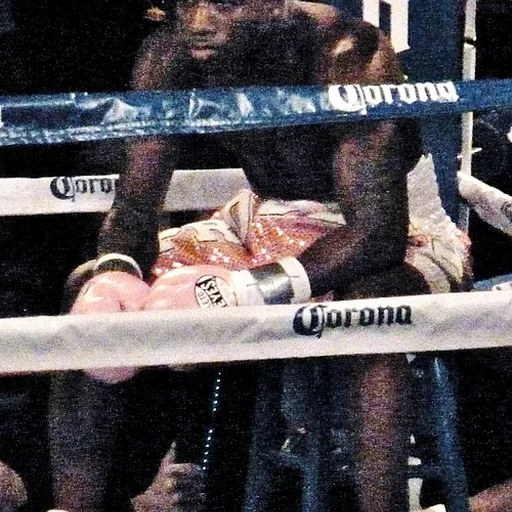 Adrien Broner