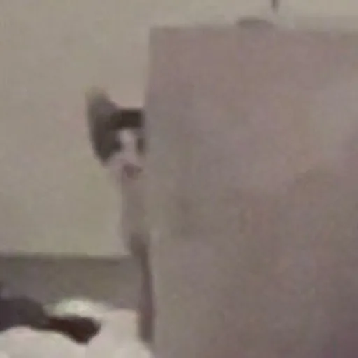 Ano