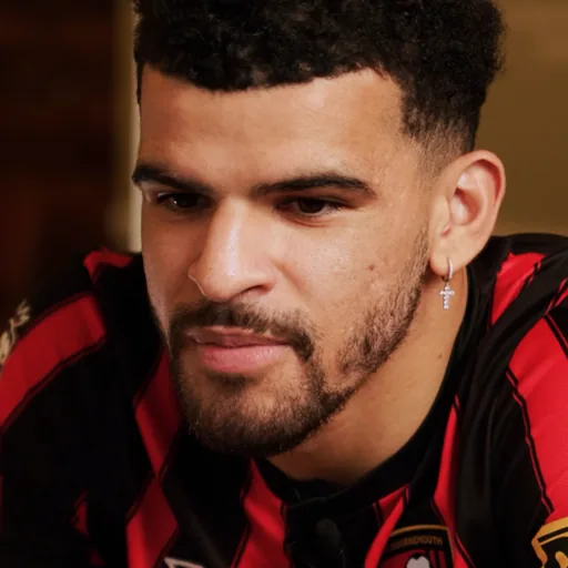 Dominic Solanke