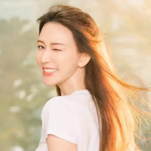 Lin Chi-ling