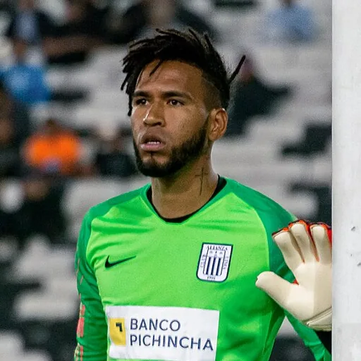 Pedro Gallese