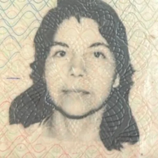 Botota Fox