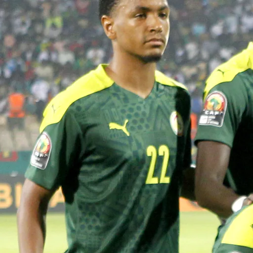 Abdou Diallo