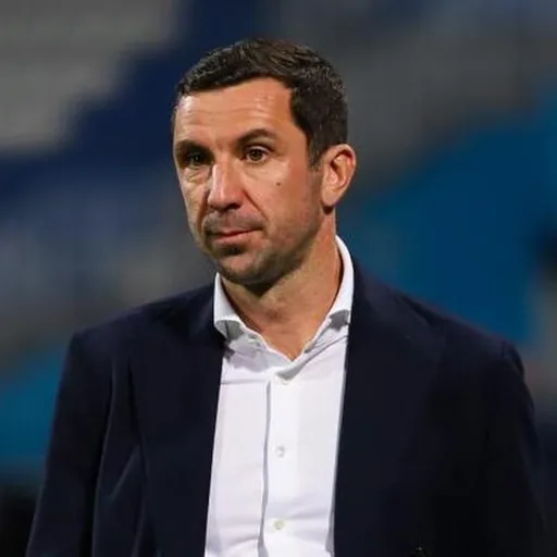 Darijo Srna