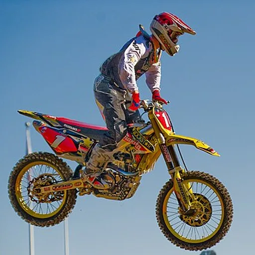 Chad Reed