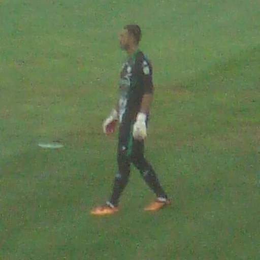 Sosha Makani