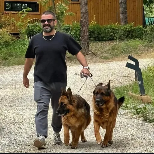Bülent Şakrak