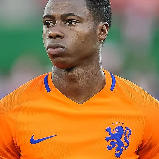 Quincy Promes