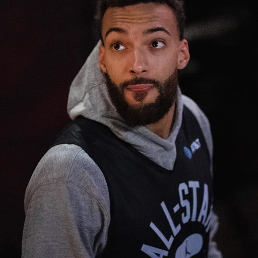 Rudy Gobert